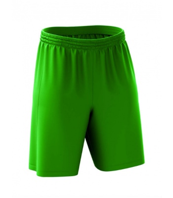 el_1101_green1